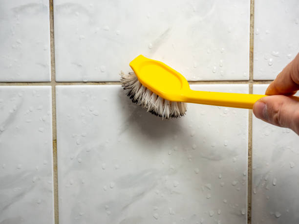  Glasgow, DE Mold Removal Pros