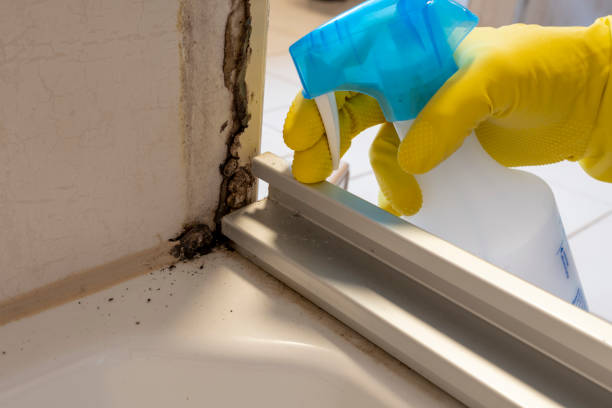 Best Toxic Mold Removal  in Glasgow, DE