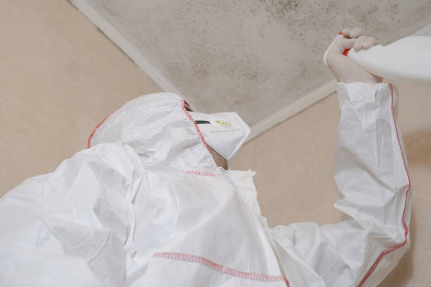 Best Professional Mold Removal  in Glasgow, DE