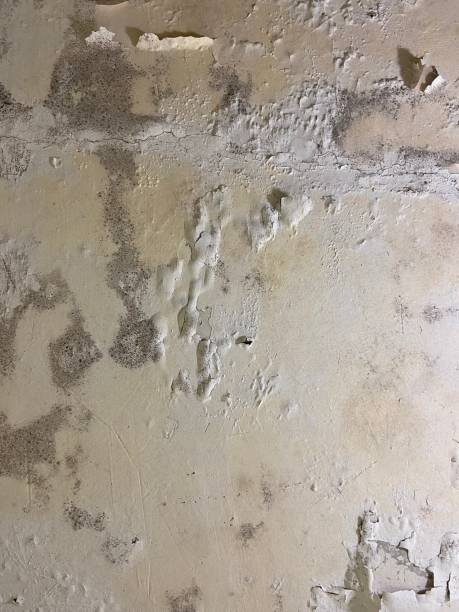 Best Mold Remediation  in Glasgow, DE
