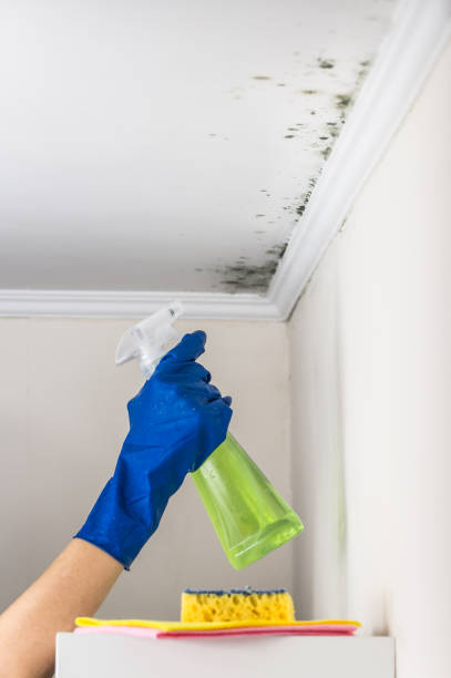 Best Certified Mold Removal  in Glasgow, DE